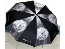 ���� 25103 №2