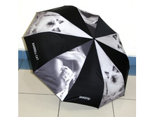 ���� 25103 №3