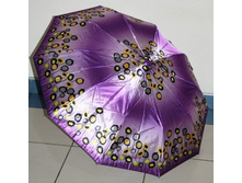 65004 ���� 02369 �-�