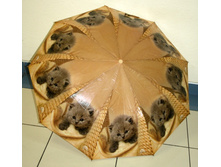 68132 ����. 7726.�-���.№3