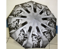 68134 ����. 7726.�-���.№5