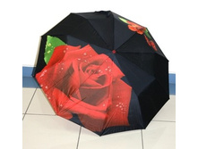 612191 ���� 2305