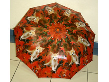 68135 ����. 7726.�-���.№6