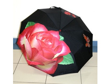 612192 ���� 2305