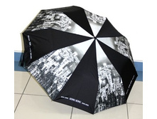 ���� 1110 (4)