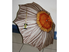 64986 ���� ������ 24161