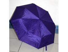 64343 ���� ������������ 2550