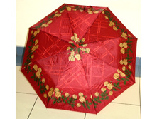 594251 ���� ������������ 2500