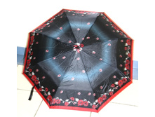 594257 ���� ������������ 2500