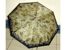 594255 ���� ������������ 2500