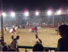 DSCF4246.JPG