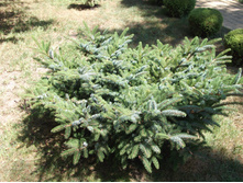 DSCF4313.JPG