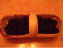 DSCF4469.JPG
