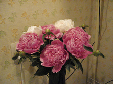 DSC02098.JPG