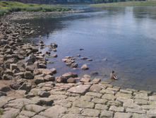 CIT20140722152302.JPG