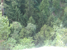 CIT20140722164140.JPG
