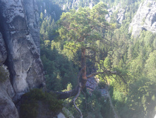 CIT20140722165130.JPG