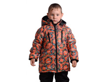 ����� 1.jpg