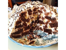 ���� ����� �����