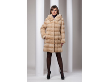 S-47 ��� ����