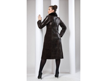 D-11 �������� ��� ����.jpeg