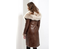 D-20 �������� ��� ����.jpeg