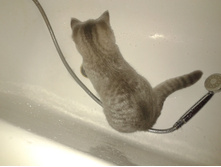 ����-0485.jpg