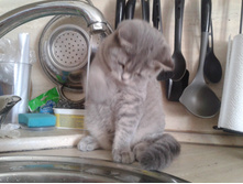 ����-0502.jpg