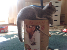 ����-0504.jpg