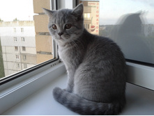 ����-0454.jpg