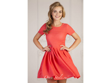 IMG__8862.jpg  490���