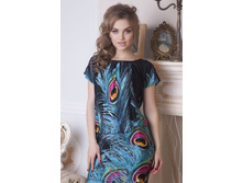 ������ 1541.jpg  550���