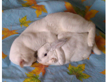 IMAG0826.jpg