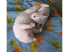 IMAG0824.jpg