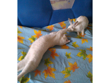 IMAG0823.jpg