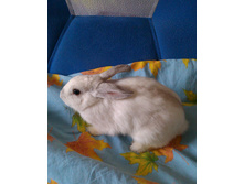 IMAG0817.jpg