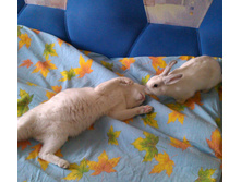 IMAG0821.jpg