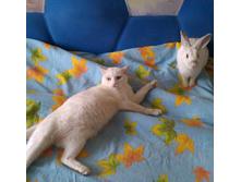 IMAG0822.jpg