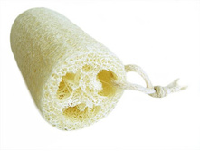 ������� �� ����.jpg