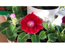 20140830_180203.jpg