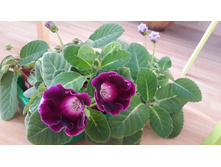 20140830_180113.jpg