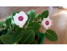 20140830_180021.jpg
