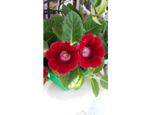 20140830_175952.jpg