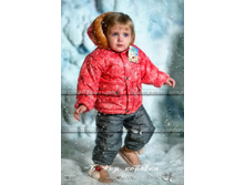 ������ �  1480���