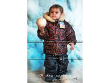 ������ �  1480���