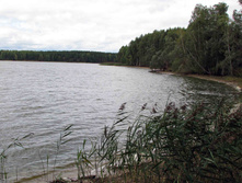 IMG_7946.JPG
