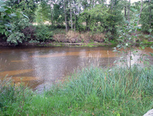 IMG_7933.JPG
