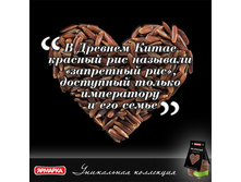 ������� ���