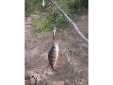 2014-08-30 13.58.50.jpg