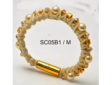 SC05B1-M_k1hynm8f.jpg